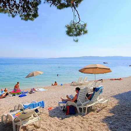 Antique In The Center Of * 布雷拉