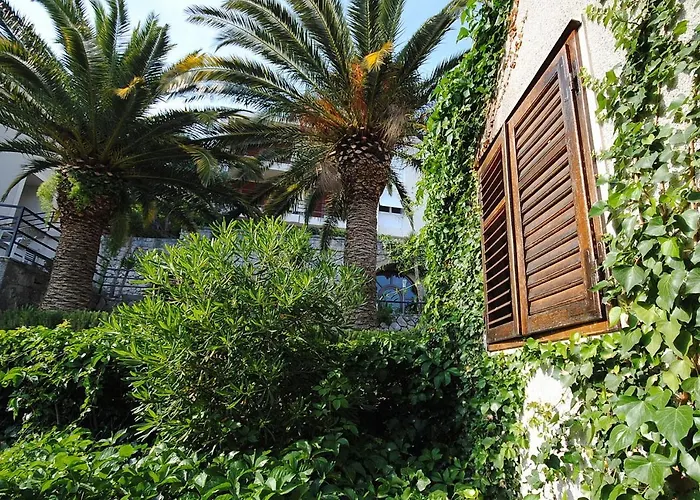 Apartment Antique In The Center Of Brela